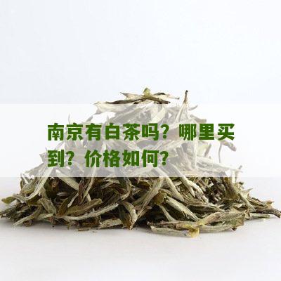 南京有白茶吗？哪里买到？价格如何？