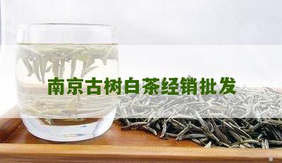 南京古树白茶经销批发