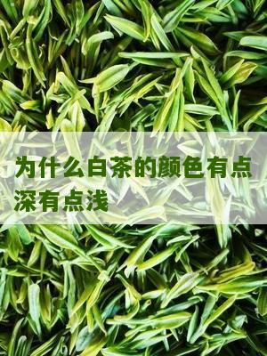 为什么白茶的颜色有点深有点浅