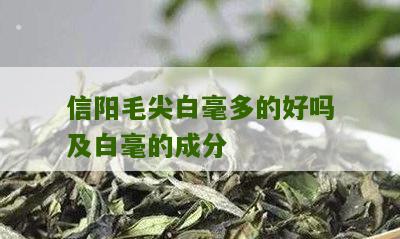 信阳毛尖白毫多的好吗及白毫的成分