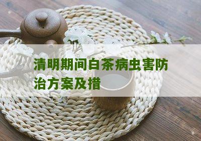 清明期间白茶病虫害防治方案及措