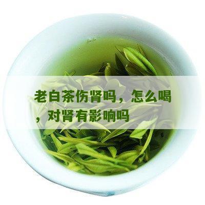 老白茶伤肾吗，怎么喝，对肾有影响吗