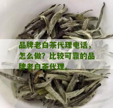 品牌老白茶代理电话，怎么做？比较可靠的品牌老白茶代理。