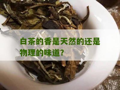 白茶的香是天然的还是物理的味道？