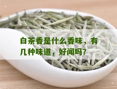 白茶香是什么香味，有几种味道，好闻吗？