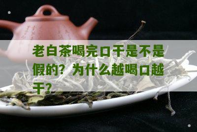 老白茶喝完口干是不是假的？为什么越喝口越干？