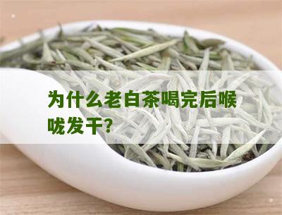 为什么老白茶喝完后喉咙发干？