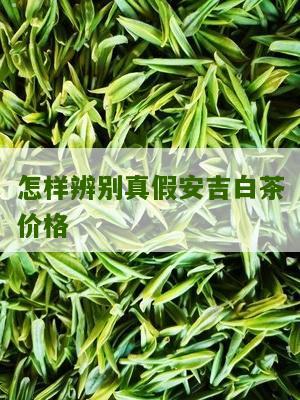 怎样辨别真假安吉白茶价格