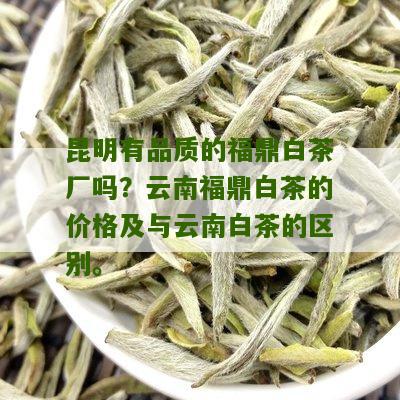 昆明有品质的福鼎白茶厂吗？云南福鼎白茶的价格及与云南白茶的区别。