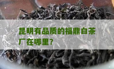 昆明有品质的福鼎白茶厂在哪里？