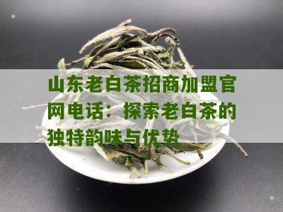 山东老白茶招商加盟官网电话：探索老白茶的独特韵味与优势