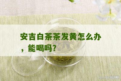 安吉白茶茶发黄怎么办，能喝吗？