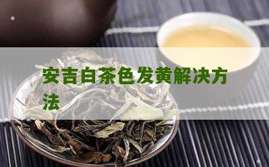 安吉白茶色发黄解决方法