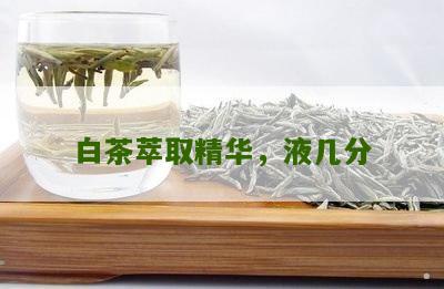 白茶萃取精华，液几分