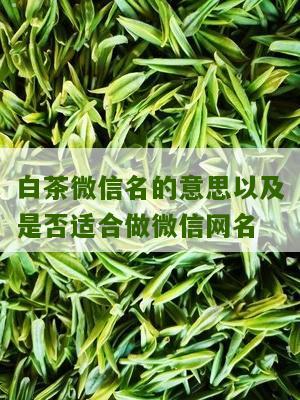 白茶微信名的意思以及是否适合做微信网名