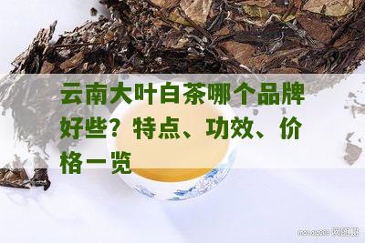 云南大叶白茶哪个品牌好些？特点、功效、价格一览