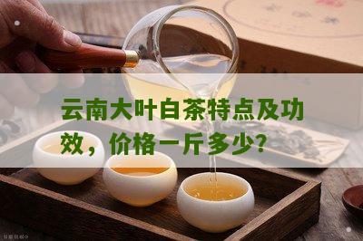 云南大叶白茶特点及功效，价格一斤多少？