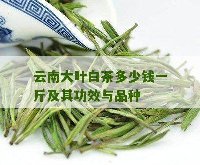 云南大叶白茶多少钱一斤及其功效与品种