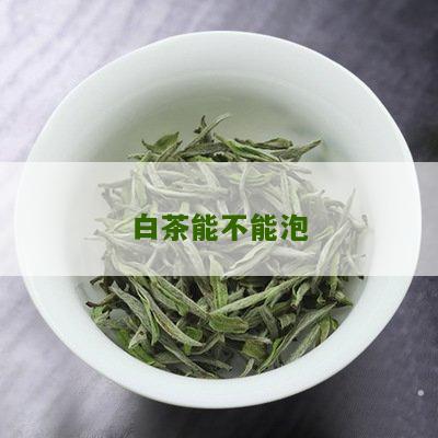 白茶能不能泡