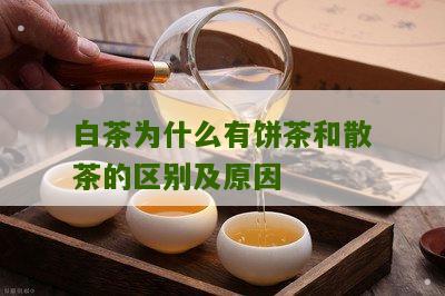 白茶为什么有饼茶和散茶的区别及原因