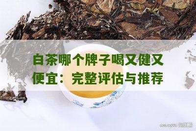 白茶哪个牌子喝又健又便宜：完整评估与推荐