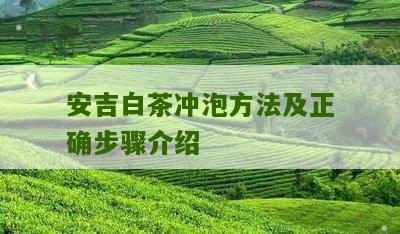 安吉白茶冲泡方法及正确步骤介绍