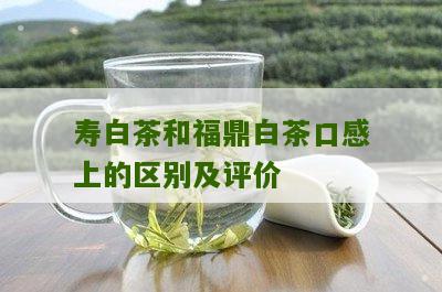 寿白茶和福鼎白茶口感上的区别及评价