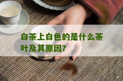 白茶上白色的是什么茶叶及其原因？