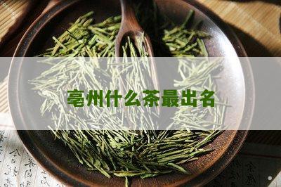 亳州什么茶最出名