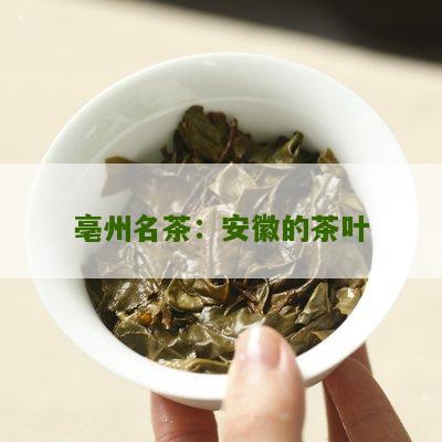 亳州名茶：安徽的茶叶