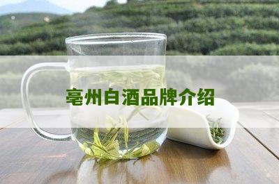 亳州白酒品牌介绍