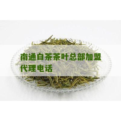 南通白茶茶叶总部加盟代理电话