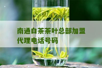 南通白茶茶叶总部加盟代理电话号码