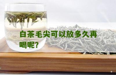 白茶毛尖可以放多久再喝呢？