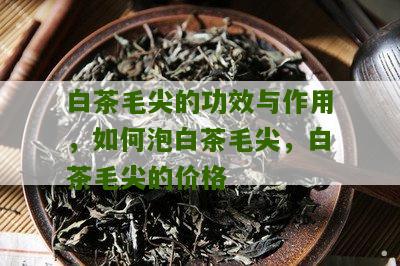 白茶毛尖的功效与作用，如何泡白茶毛尖，白茶毛尖的价格