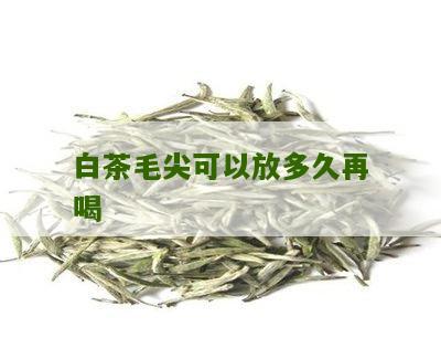 白茶毛尖可以放多久再喝