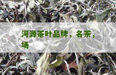 河源茶叶品牌，名茶，场