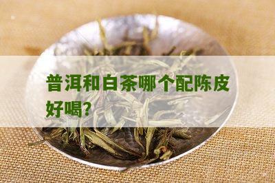 普洱和白茶哪个配陈皮好喝？