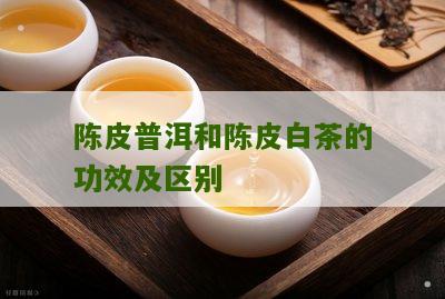 陈皮普洱和陈皮白茶的功效及区别