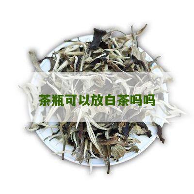 茶瓶可以放白茶吗吗