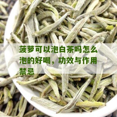 菠萝可以泡白茶吗怎么泡的好喝，功效与作用禁忌