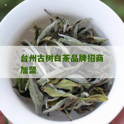 台州古树白茶品牌招商加盟