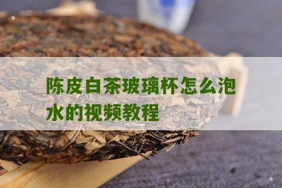 陈皮白茶玻璃杯怎么泡水的视频教程