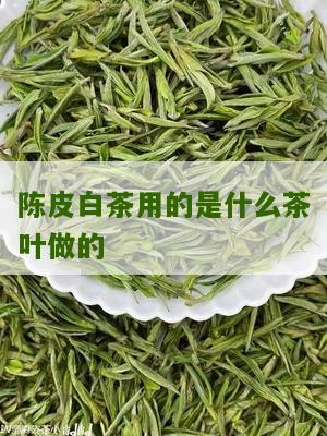 陈皮白茶用的是什么茶叶做的