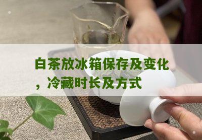 白茶放冰箱保存及变化，冷藏时长及方式