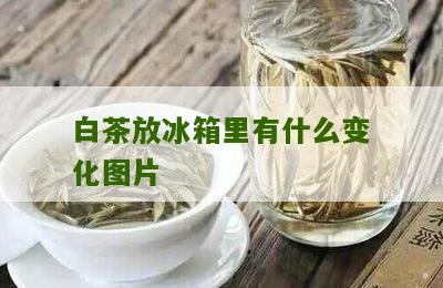 白茶放冰箱里有什么变化图片