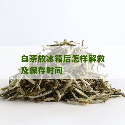 白茶放冰箱后怎样解救及保存时间