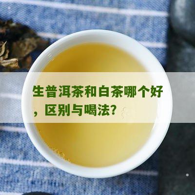 生普洱茶和白茶哪个好，区别与喝法？