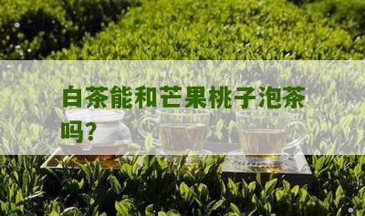 白茶能和芒果桃子泡茶吗？