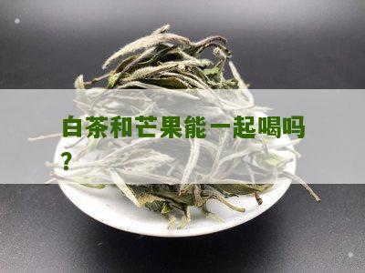 白茶和芒果能一起喝吗？